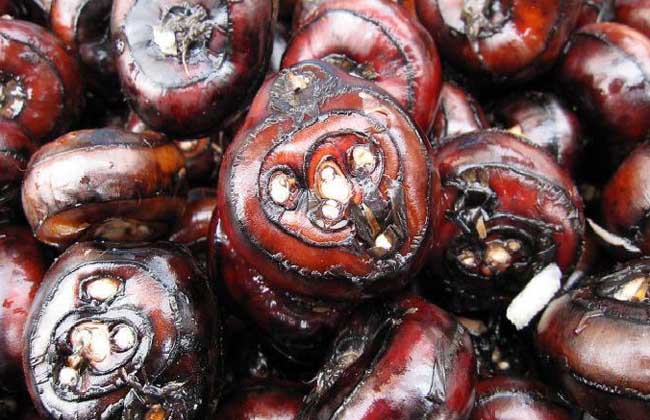 荸荠是水果還是蔬菜？