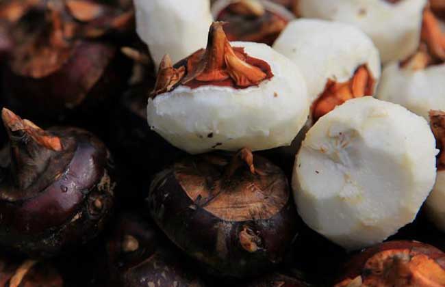 荸荠的读音是啥？