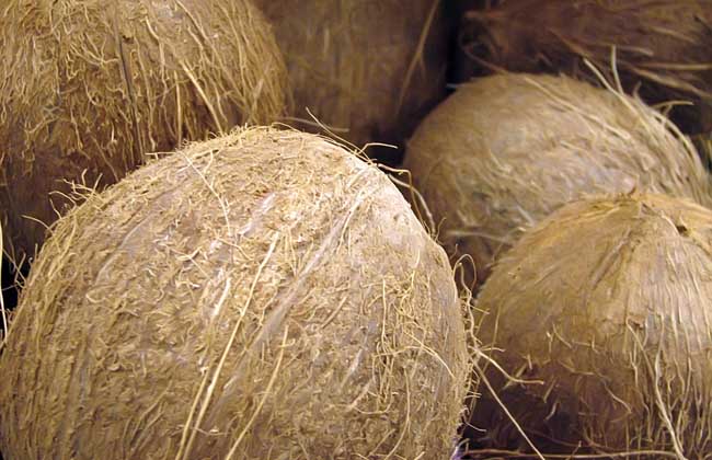 椰子怎么开启？