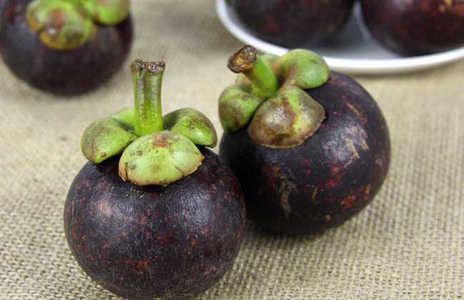 山竹是热性還是凉性？