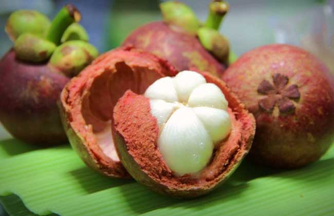 山竹是热性還是凉性？