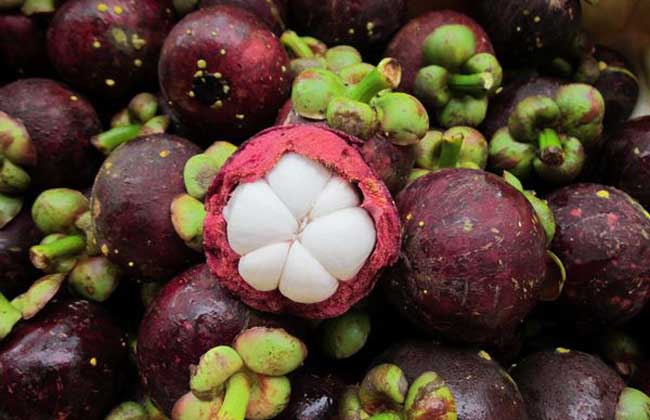 山竹是热性還是凉性？