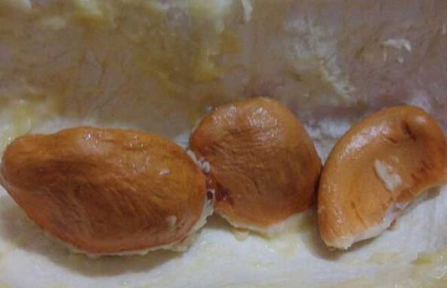 榴莲核能不可以吃？