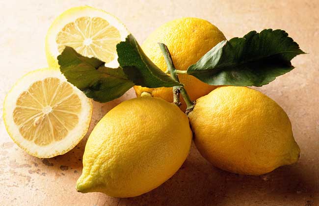 柠檬产地在哪里？