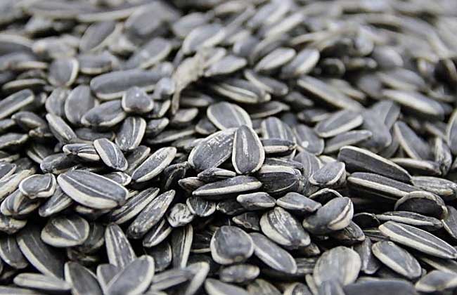 瓜子是并不是坚果？