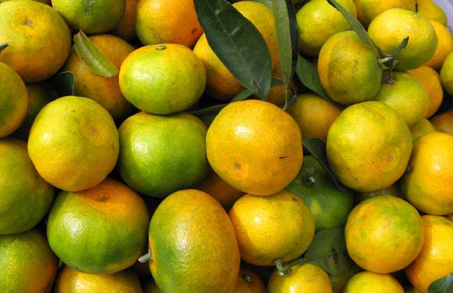 柑橘的存储办法有哪些?