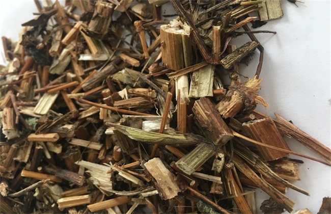 鬼针草的关键品种