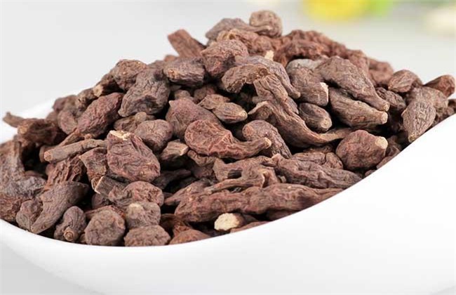 蕨麻的种植技术