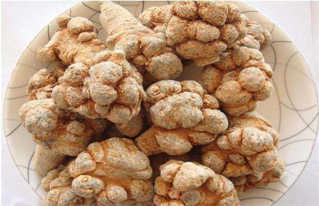 田七的种植办法