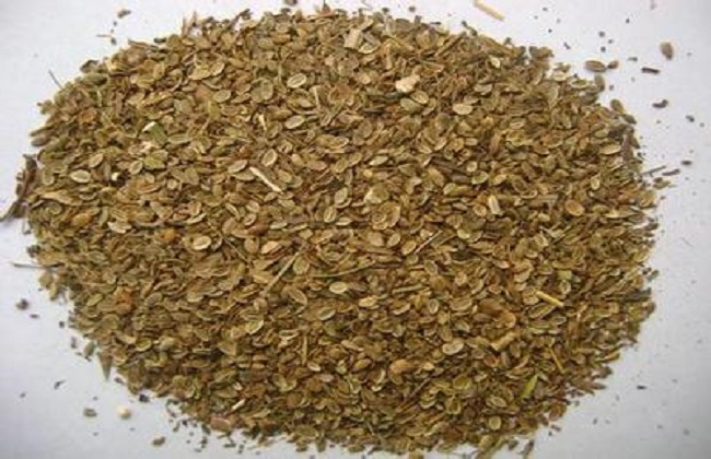防风种植的注意些什么
