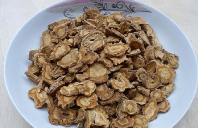防风种植的注意些什么