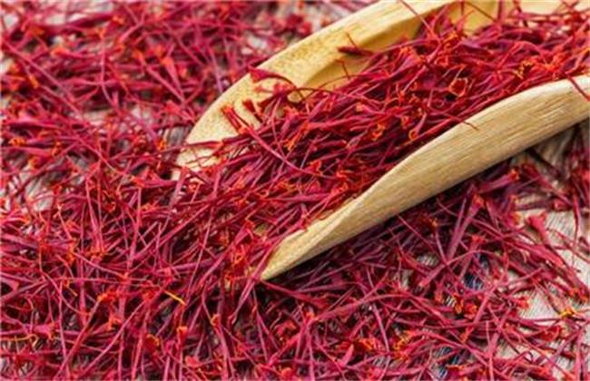 藏红花价钱及真假区分办法