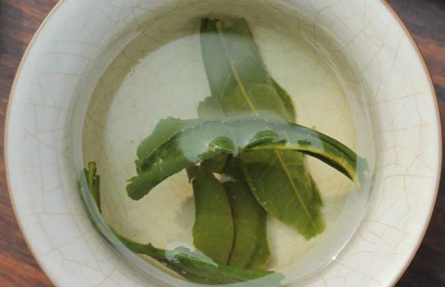 六安瓜片是绿茶吗？