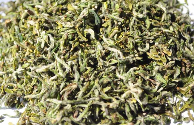 碧螺春是绿茶吗？