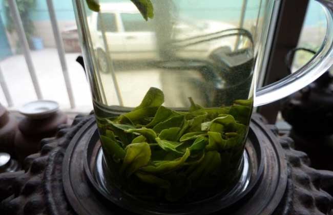 六安瓜片是绿茶吗？