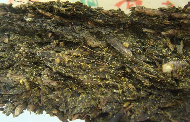 黑茶的种类有哪些？