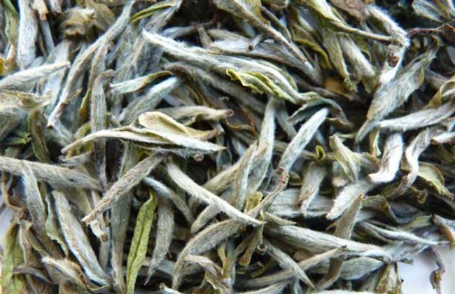 白茶的种类有哪些？