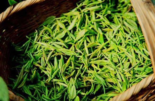 龙井茶产地在哪里？