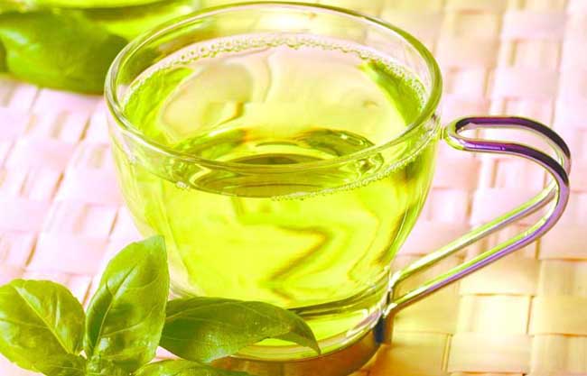 茶油多少钱一斤？