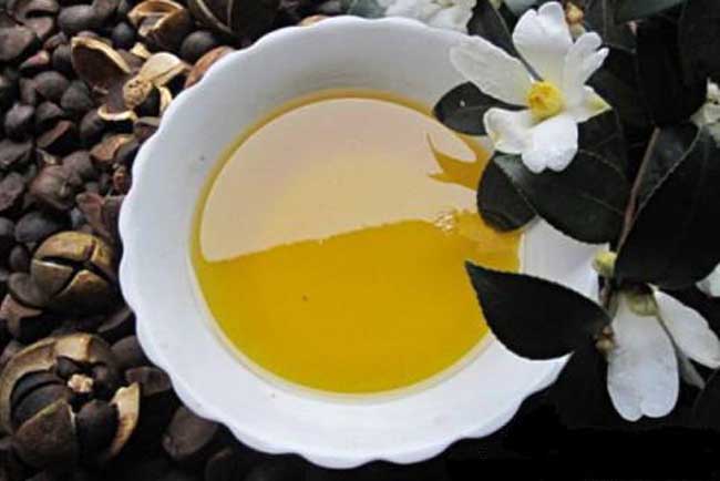 茶油多少钱一斤？