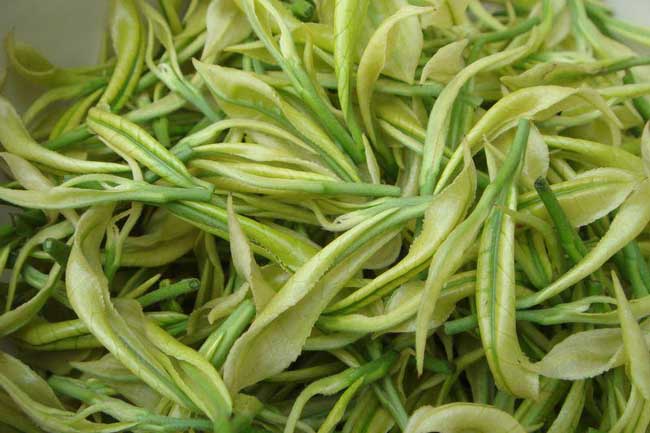 白茶是啥茶？