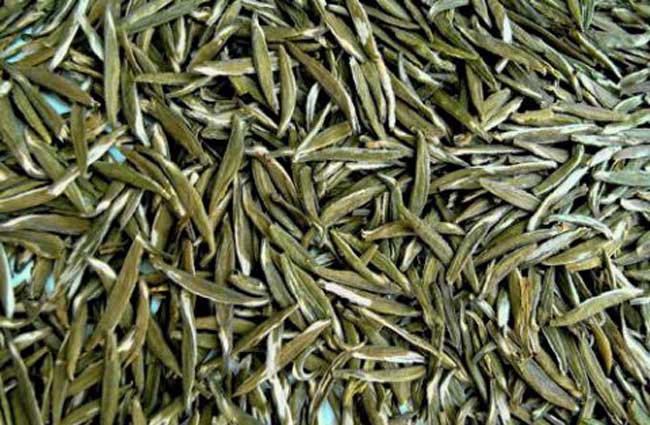 湄潭翠芽的制作工艺