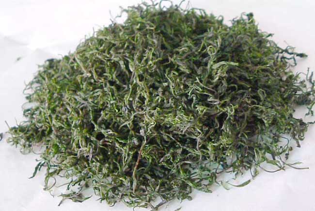 茶叶优劣的鉴别办法