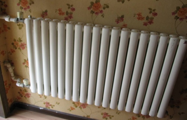 冬天室内植物叶子发黄解决办法