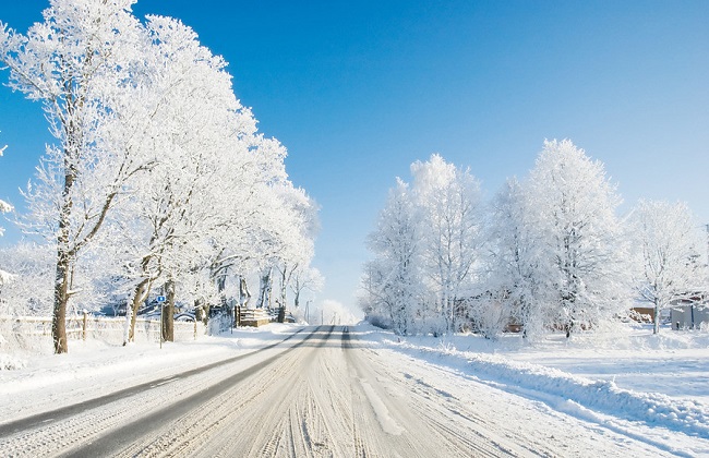 虞美人冬季养护办法