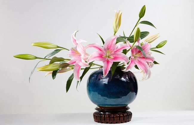 怎么让鲜花保存的更久