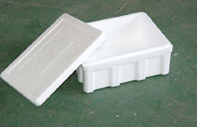 水培植物越冬技巧