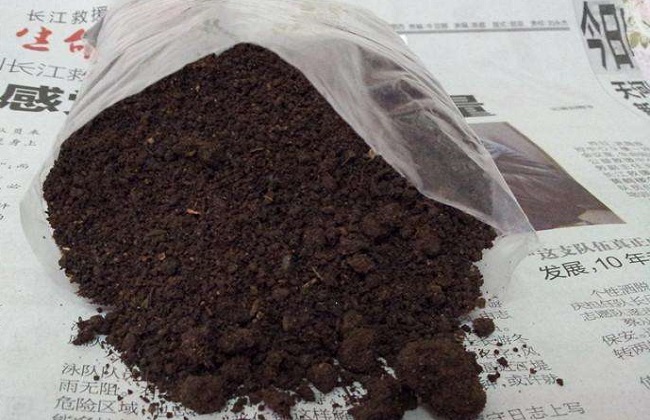 盆栽绿植表层上铺什么相当好？