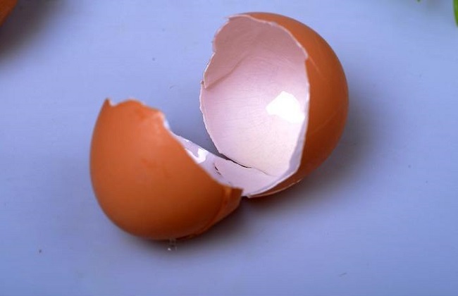 盆栽绿植表层上铺什么相当好？