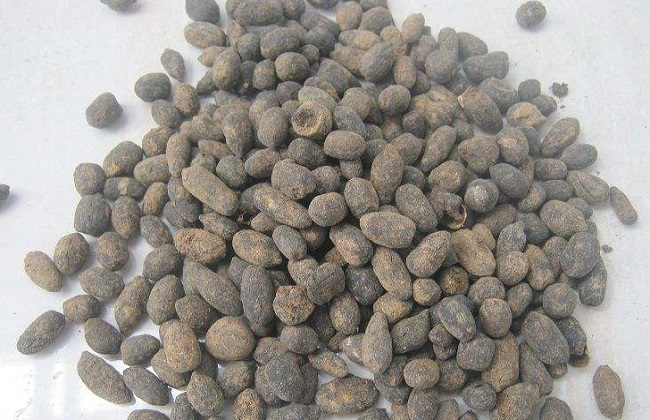 盆栽绿植表层上铺什么相当好？