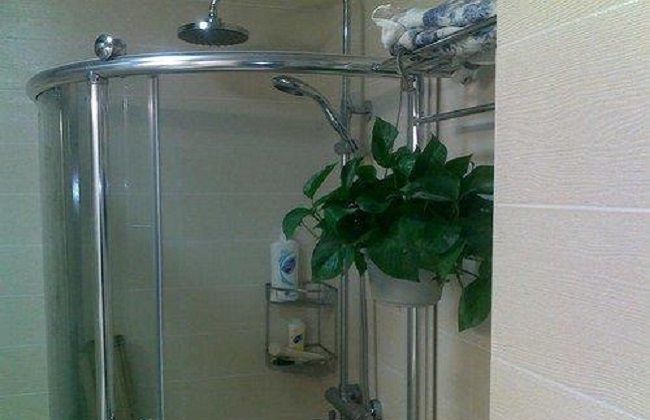 家庭养花经常遇见问题解答