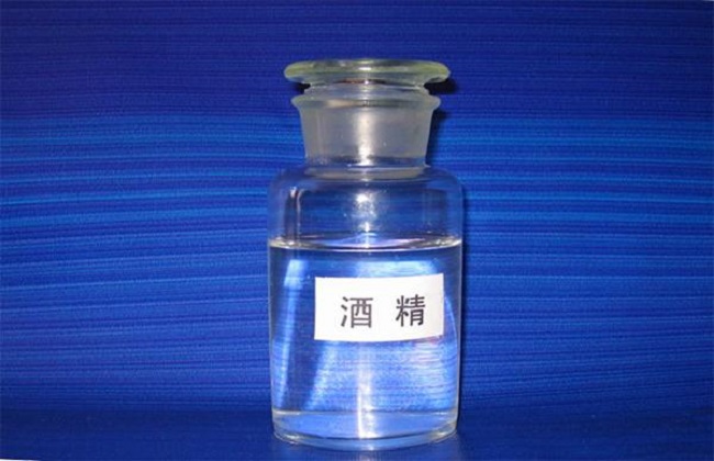 多肉种植技术之怎么驱虫