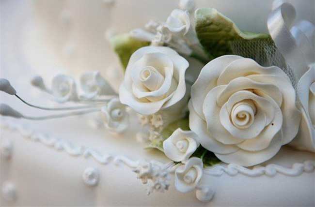 白玫瑰的花语是啥？