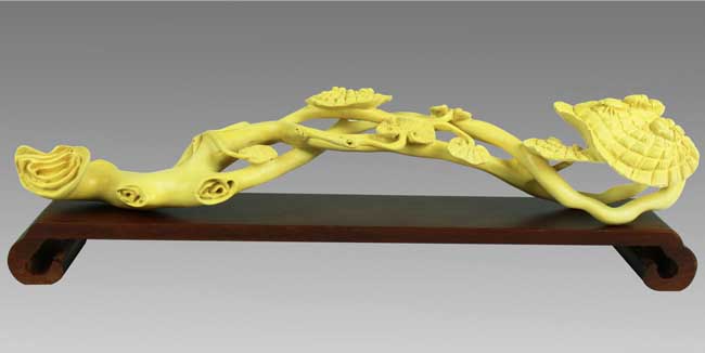 黄杨木价钱为什么这么贵?