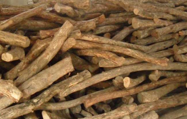 真假黄杨木鉴别办法