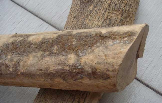 真假黄杨木鉴别办法