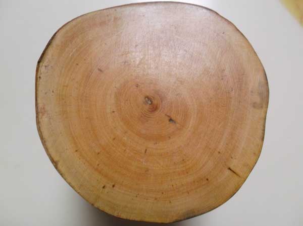 真假黄杨木鉴别办法