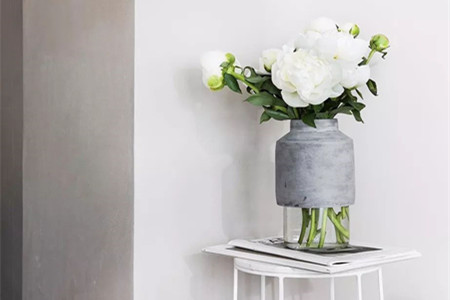 桔梗的盆栽养护办法，这样子养可以快速爆盆