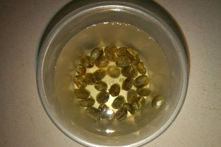 咖啡树种植条件？这些适宜种植地区有你的家乡吗