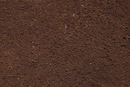 长寿花怎么养开花多