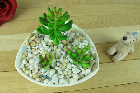 选多肉盆有什么提倡吗