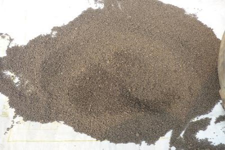 发财树喜欢什么肥料