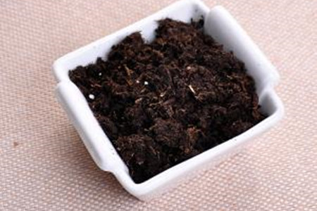 多肉土壤怎么选