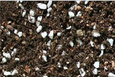 多肉土壤怎么选