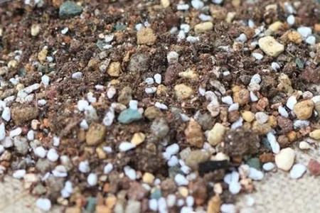 多肉土壤怎么选