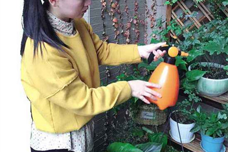 怎么让绿萝藤又粗又壮